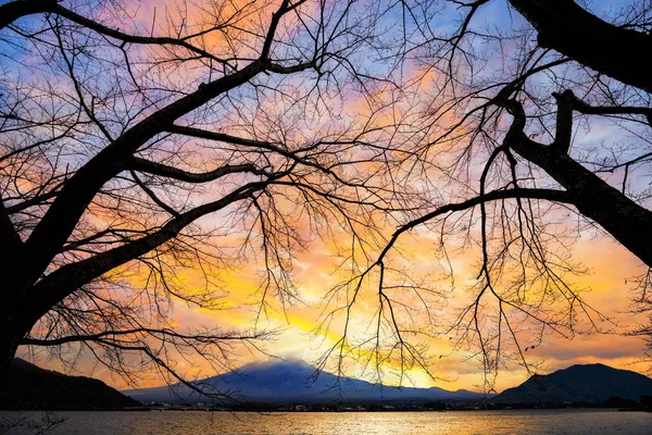 Monte Fuji — Foto Stock