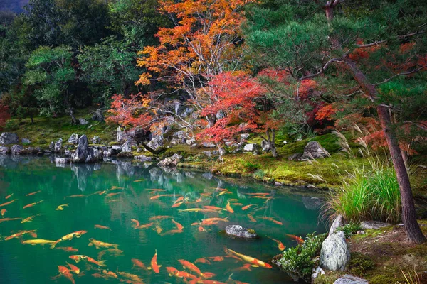 Herfst Landschap Achtergrond Japan — Stockfoto