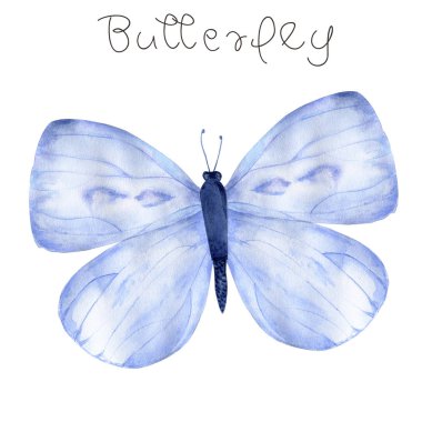 Suluboya kelebek aquarelle küçük resim