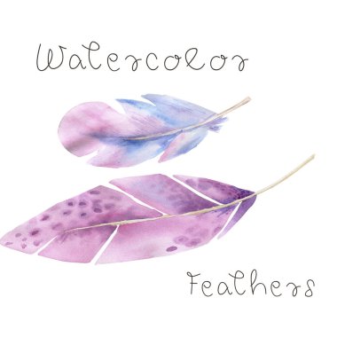 Suluboya mavi tüy tüy