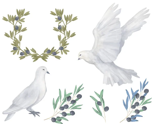 Güvercin Küçük Resim Suluboya Kuş Uçmak Çiçek Illüstrasyon Benzer Çizim — Stok fotoğraf