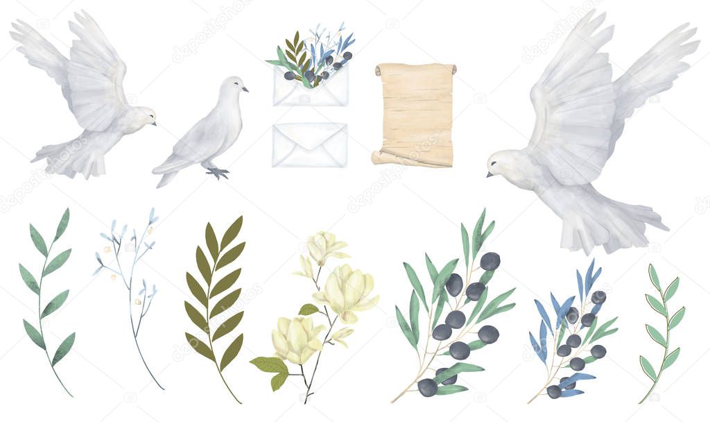 Pigeon clip art digital drawing watercolor bird fly flowers illustration similar