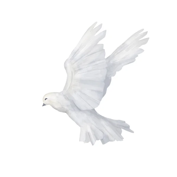 Gołąb Clipartów Cyfrowy Rysunek Sztuka Którą Mucha Pokoju Akwarela Ptak — Zdjęcie stockowe