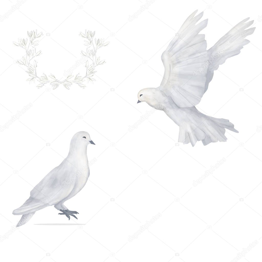 Pigeon clip art two dove digital drawing watercolor bird fly flowers illustration similar