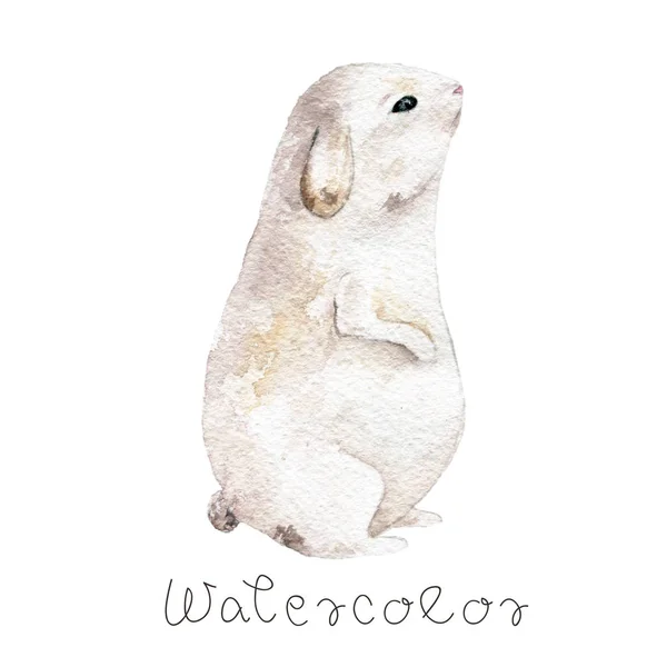 Králíček Akvarel Králík Velikonoční Zajíček Roztomilé Zvíře Divoká Zvěř Bílém — Stock fotografie