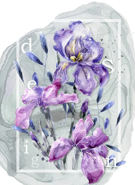 Carte Botanique Avec Fleurs Iris Feuilles Concept Ornement Printemps Affiche — Photo