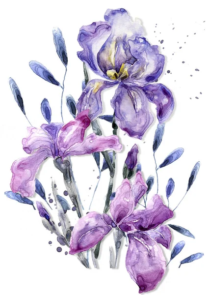 Цветочный Акварель Белом Фоне 700 — стоковое фото