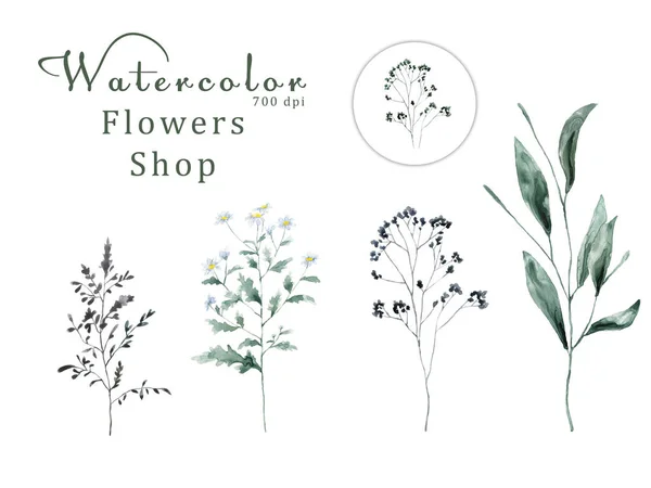 Watercolor Floral White Background 700 Dpi Similar Illustration Leaf Geen — Stock Photo, Image