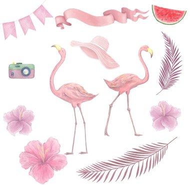 El flamingo suluboya tropikal kuşlar set çekilmiş. Egzotik kuş illüstrasyonlar, orman ağacı, Brezilya moda sanat gül. Beyaz arka plan üzerinde kumaş tasarım için mükemmel