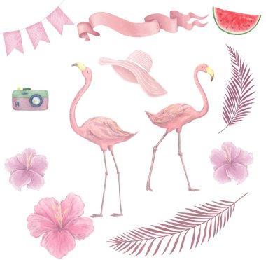Hand drawn watercolor tropical birds set of flamingo. Exotic rose bird illustrations, jungle tree, brazil trendy art. Perfect for fabric design on white background clipart