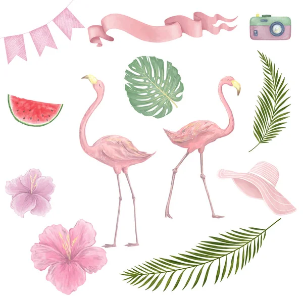 Flamingo Suluboya Tropikal Kuşlar Set Çekilmiş Egzotik Kuş Illüstrasyonlar Orman — Stok fotoğraf