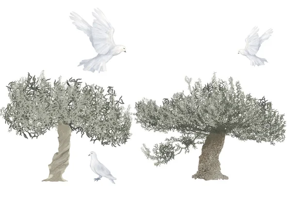 Olive Tree Illustratie Hand Getekend Aquarel Witte Achtergrond — Stockfoto