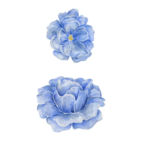 Modrý Květ Akvarel Kresba Obrázku Geometrický Obrázek Malba Akvarel Květinové — Stock fotografie