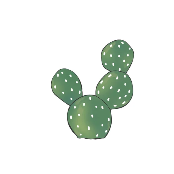 Cactus Clip Arte Digtal Ilustração Desenho Sobre Fundo Branco — Fotografia de Stock