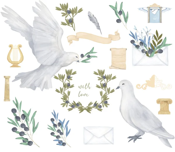 Pigeon and olive clip art digital drawing watercolor bird fly peace dove for wedding celebration illustration similar on white background.