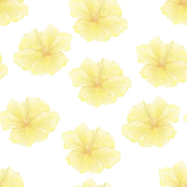 Plumeria Padrão Frangipani Amarelo Asiático Watercolor Ilustração Backgound Branco — Fotografia de Stock