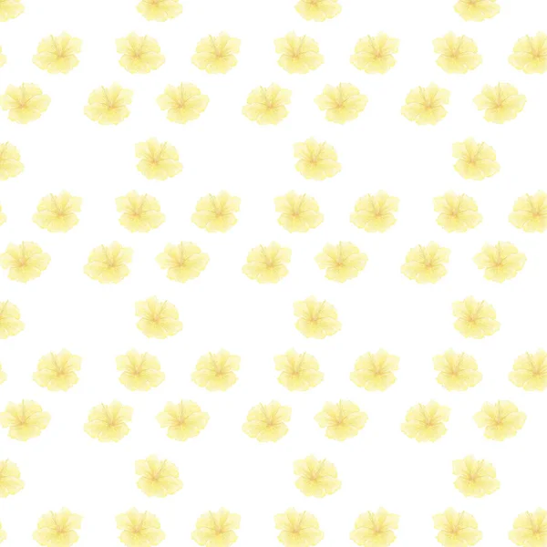 Plumeria Padrão Frangipani Amarelo Asiático Watercolor Ilustração Backgound Branco — Fotografia de Stock