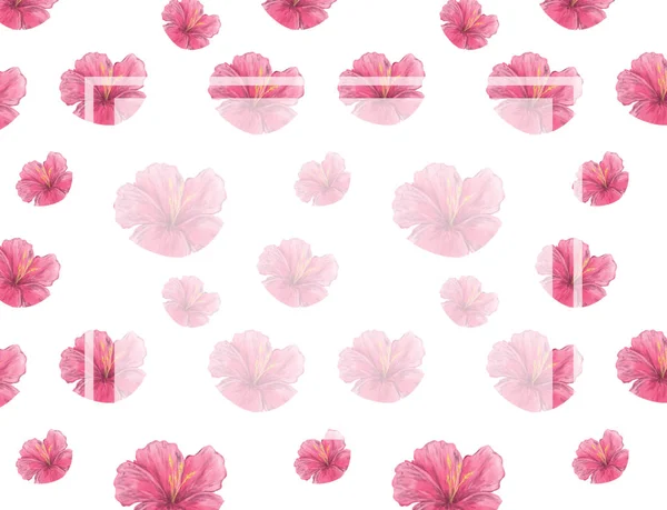 Aquarell Rosa Blumen Blüht Hintergrund Hochzeitskarte Feier Einladungskarte Design — Stockfoto