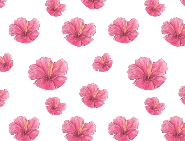 水彩のピンクの花の花の背景 結婚式のカード お祝い 招待カードのデザイン — ストック写真