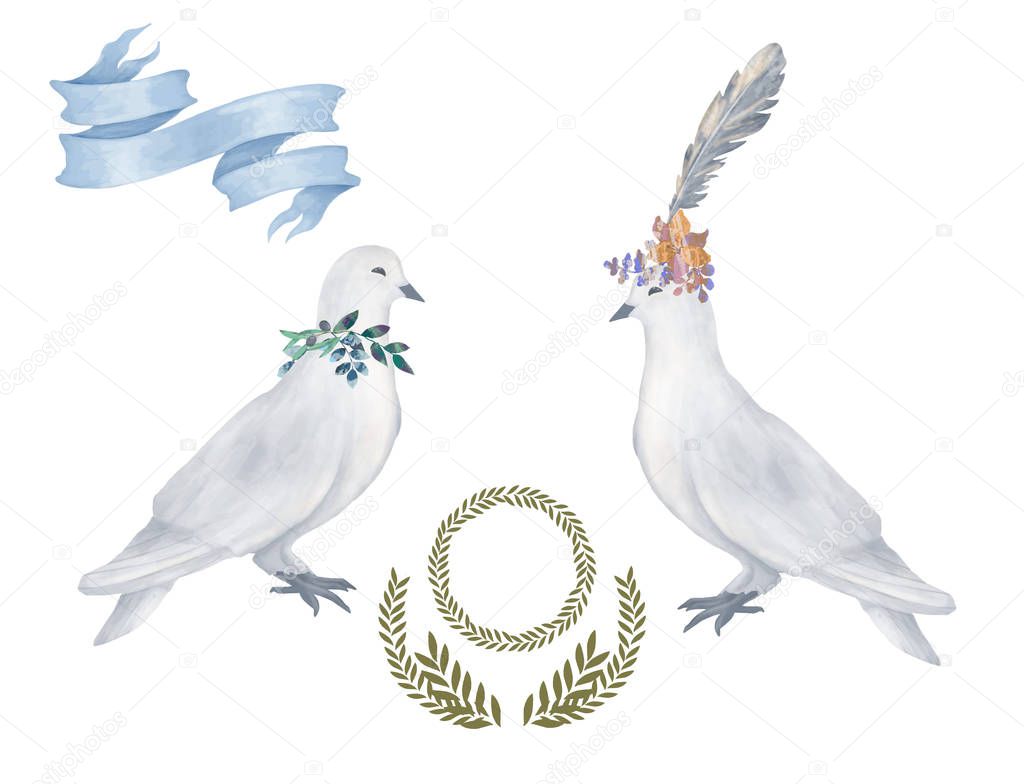 Pigeon clip art digital drawing watercolor bird fly peace dove for wedding celebration illustration similar on white background