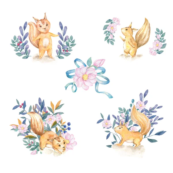 Watercolor style illustration of cartoon character. Squirrel set and flowers on white background — Stok fotoğraf