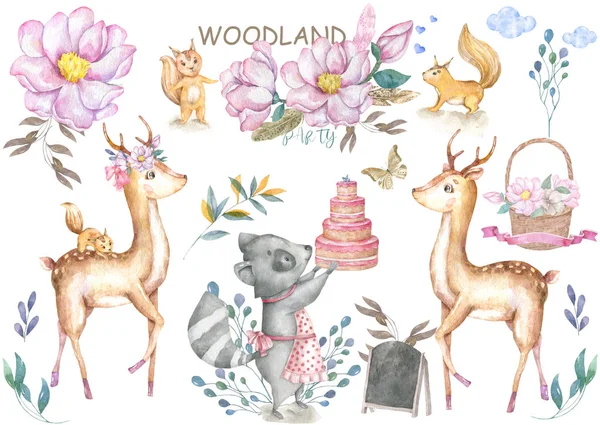 Lindo ciervo bebé y roccoon con sabroso animal pastel ilustración aislada para los niños. Acuarela bohemia Bosque boho Ciervo familia acuarela Dibujo Perfecto para carteles infantiles. Invitación de cumpleaños . —  Fotos de Stock