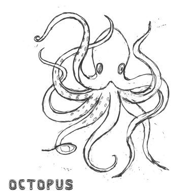 Deniz canavarı karakter illüstrasyon geometrik sevimli hayvan kutup okyanus yüz ahtapot gözleri komik deniz hayat rengi beyaz ve siyah derin mavi Kış beyaz arka plan üzerinde çizim.