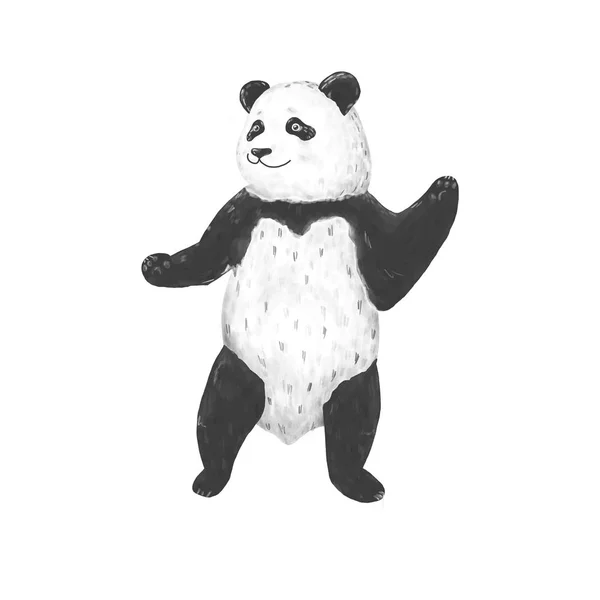 Grazioso Panda Acquerello Clip Arte Disegno Animale Illustrazione Sfondo Bianco — Foto Stock