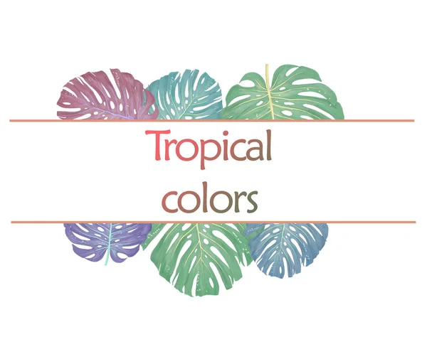 Folhas Tropicais Verão Moda Folhas Cores Cartão Design Fundo Branco — Fotografia de Stock