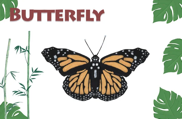 Monarch Butterfly Watercolor Ilustração Pintada Mão Sobre Fundo Branco — Fotografia de Stock
