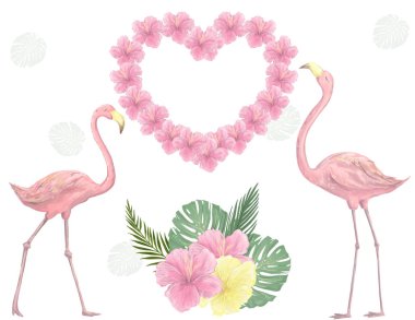 Pembe flamingo dijital klip sanat sevimli kuş aşk bounqet tropikal set çiçek renk doku illüstrasyon hayvan güvercin çiçek yeşil yaz kutlama arkadaş kartı beyaz arka plan tebrik uçan çiçekler.