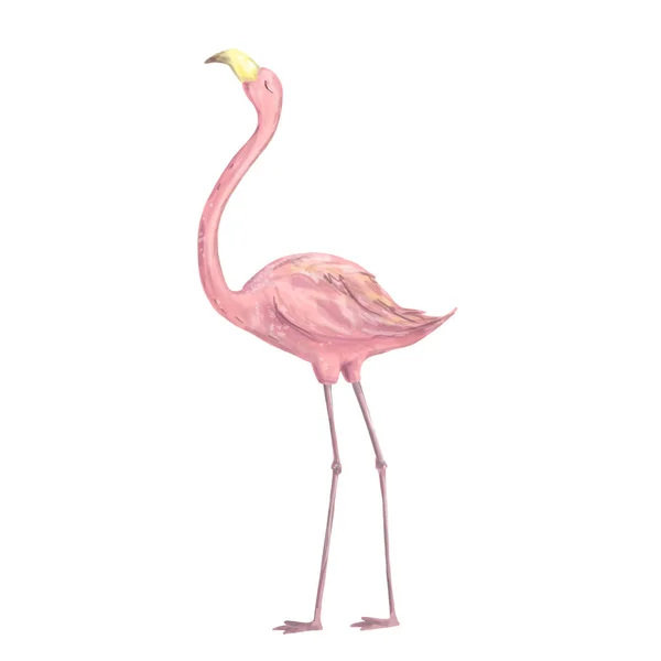 Ροζ Φλαμίνγκο Χαρακτήρα Ψηφιακή Clip Art Χαριτωμένο Δύο Πουλιά Τροπικό — Φωτογραφία Αρχείου