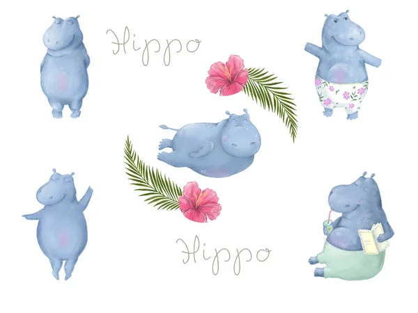 Hippo Clip art animal hippopotamus cute