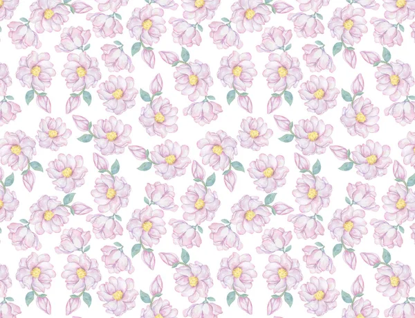 Tämä moderni vaaleanpunainen ja violetti kukka kuvio on toistuva kukka tausta suunnittelu pastelli häät, kutsu, juhlakortti valkoisella taustalla — kuvapankkivalokuva