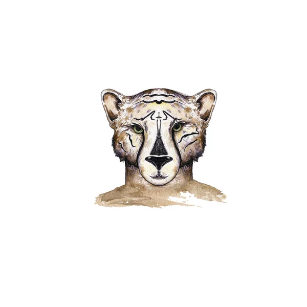 Hand drawn portrait of cute tiger boy cat. Watercolor illustration isolated on white — Stock Photo, Image