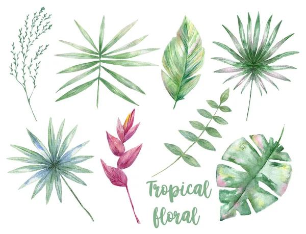 Aquarela tropical floral clip arte verde folha selva desenho, ilustração isolada no fundo branco — Fotografia de Stock