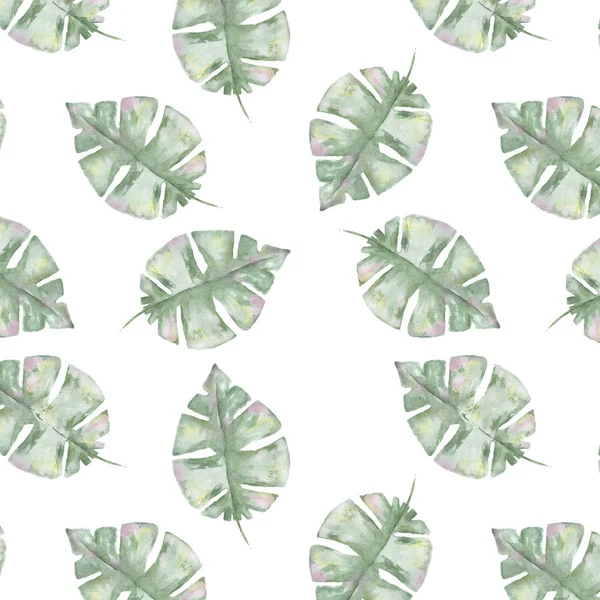 Tropiska mönster med exotisk palm lämnar. mönster tropic leafs sommaren uppsättning isolerad på vit bakgrund — Stockfoto