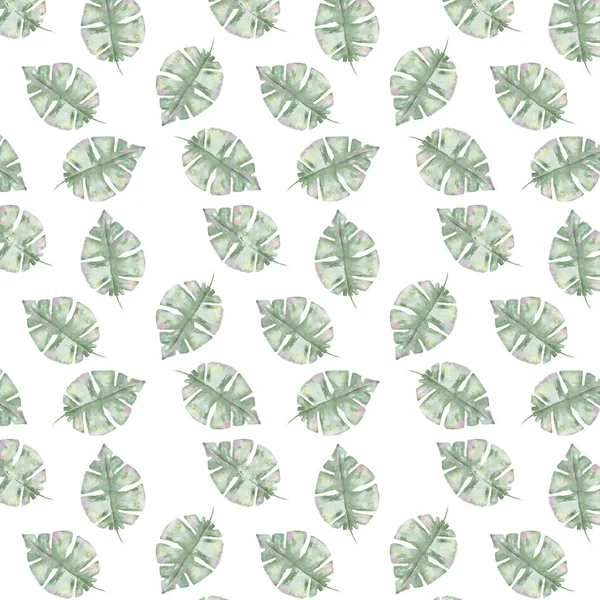 Tropiska mönster med exotisk palm lämnar. mönster tropic leafs sommaren uppsättning isolerad på vit bakgrund — Stockfoto