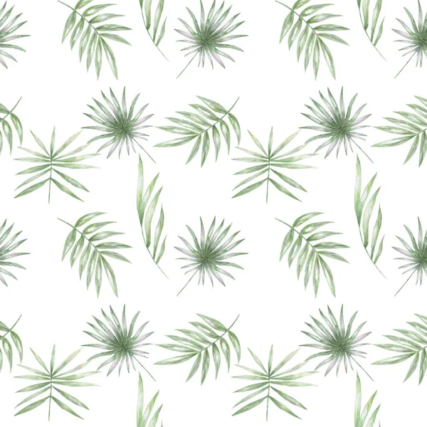 Patrón tropical con hojas de palma exóticas. patrón de hojas tropicales conjunto de verano aislado sobre fondo blanco — Foto de Stock