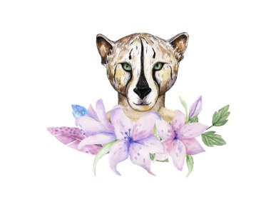 El sevimli kaplan kız kedi ve pembe çiçekler çizilmiş portresi. Suluboya illüstrasyon izole beyaz
