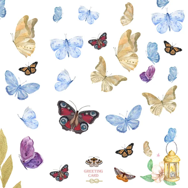 Поздравления, поздравления, день рождения, свадебная открытка дизайн Будьте счастливы. Симпатичные бабочки акварелью на белом фоне — стоковое фото
