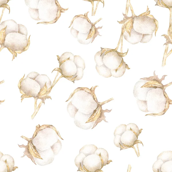 Realistische Aquarell-Illustration von Baumwolle isoliert auf weißem Hintergrund. Muster für Textilien, Stoffbekleidung. — Stockfoto