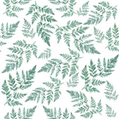 Suluboya çiçek deseni yeşillik doğal dalları, yeşil yaprakları, otlar, tropikal bitki el çizilmiş suluboya illüstrasyon, taze güzellik rustik çevre dostu beyaz arka plan