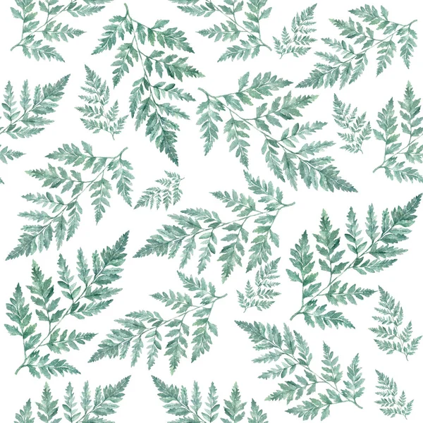 Suluboya çiçek deseni yeşillik doğal dalları, yeşil yaprakları, otlar, tropikal bitki el çizilmiş suluboya illüstrasyon, taze güzellik rustik çevre dostu beyaz arka plan