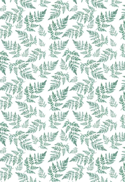 Suluboya çiçek deseni yeşillik doğal dalları, yeşil yaprakları, otlar, tropikal bitki el çizilmiş suluboya illüstrasyon, taze güzellik rustik çevre dostu beyaz arka plan