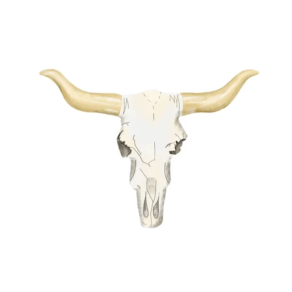 Skull digital art bone cow head tribal bull ox buttress calf boho style illustration geometric on white background — Stock Photo, Image