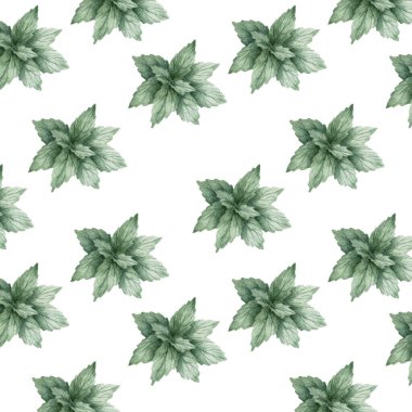 Aquarelle nane desen illüstrasyon. Beyaz arka planda suluboya nane renk elemanı taze sanat