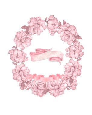 Yaprakları ile Sevimli çelenk, beyaz pembe çiçekler, Pyrethrum ve çiçekli Hydrangea, vintage suluboya tarzı Romantik tasarım Tebrik, Weeding, Doğum Günü ve Davet kartı illüstrasyon. Olay kartpostalı