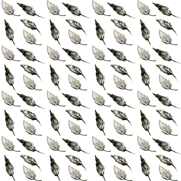 Clipe padrão de arte com penas desenhadas à mão sobre fundo branco. Estilo de tinta boho cores pretas — Fotografia de Stock