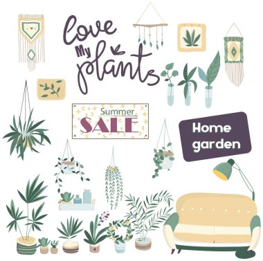 Ev bitkileri. Saksı izole nesneler, houseplant saksı koleksiyonu. Ev bahçe klip resim illüstrasyon. Renkli tasarım. Afiş, invete, satış mağazası, web simgesi için. Elle çizilmiş kart